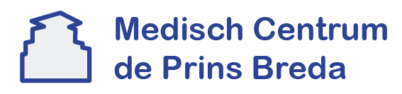 mcdeprins.nl